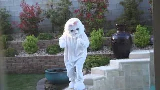 Easter Bunny caught hiding eggs in the backyard.  Is he real?