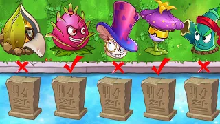 PvZ 2 Chinese - How Many Plant Use 1 Plant Food Can Destroy 8 Egypt Gravestone - PvZ 2 Challenge