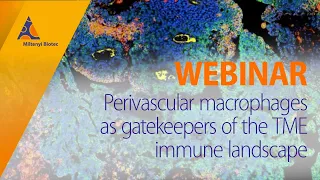 Perivascular macrophages as gatekeepers of the TME immune landscape [WEBINAR]