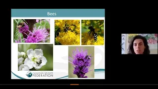 Wildlife-friendly Gardening Webinar