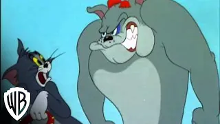 Tom and Jerry: In the Dog House | "Cat Napping" -- Hammock | Warner Bros. Entertainment