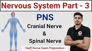 Cranial Nerves || PNS || Nervous System Part - 3