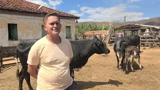 QUEIJARIA TIPICA QUEIJO CANASTRA - SERRA DA CANASTRA