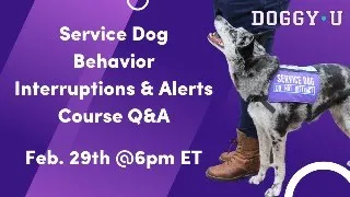 Service Dog Behavior Interruptions & Alerts Course Q&A