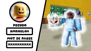 JE VOLE LE COMPTE DE NMROBLOX (IL EST FABULEUX !!)