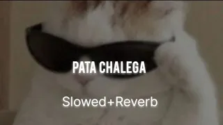 Pata Chalega (Slowed+Reverb)🎧 for better experience | Aesthetic