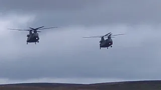 RAF Chinook helicopters land on the Long Mynd and wow spectators in training exercise