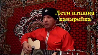 "Лети пташка канарейка" Казачья Песня Russian Folk Song