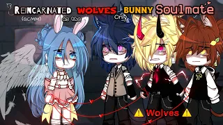 Reincarnated As The WOLVES Only BUNNY Soulmate || GCMM || Gacha Club Movie || [ Original ] || Part 2