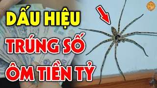 BẠN SẮP TRÚNG SỐ GIÀU TO Nếu Đột Nhiên Thấy 5 Điềm Báo Này, Tiền Vàng Cứ Thế Ùn Ùn Kéo Về