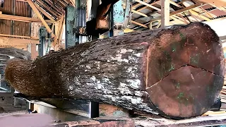 🌳Amazing Modern Automatic Wood Processor Production Factory Fastest Wood Sawmill Machines