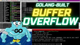 Build A Buffer Overflow Exploit To Learn Golang - Project-Based Learning