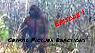 30 pictures of Bigfoot/Sasquatch reactions. Episode 1