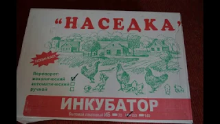 Обзор инкубатора бытового лампового ИБ-100 "Наседка"