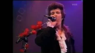 Mink DeVille - Every Dog Has It's Day