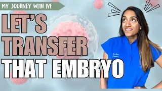 IVF Journey Update - January 2023 (Embryo Transfer)