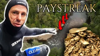 We found a unique pay streak of gold nuggets in this Tasmanian river!!!