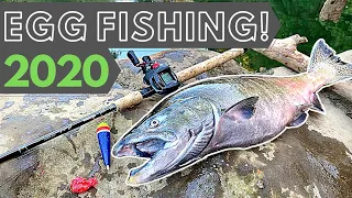 Salmon Fishing 2020 | Drifting Eggs for Chinook | 4K