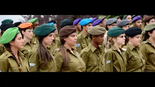 The Israeli Defense Forces: The Human Aspects (Paul Liptz)