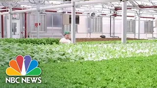 First Underground Farm To  Launch in 2022 Could Be Industry Game-Changer