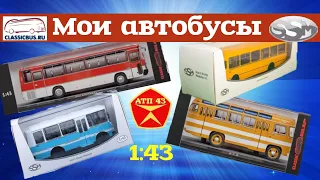 Автобусы в масштабе 1:43🔹️Часть первая