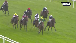 Dapper Valley impresses with this debut effort at Newbury 🔥 - Racing TV