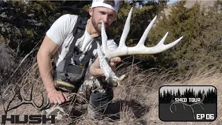 SHED TOUR | BIG WHITETAIL SHEDS AND DEAD HEADS | SE06