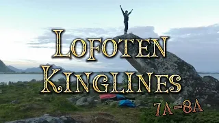 Lofoten Kinglines