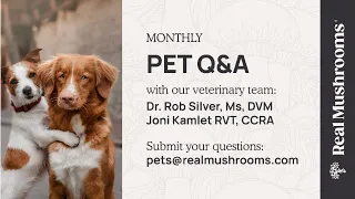 January 2024 Live Pet Q&A with Dr. Rob Silver DVM, MS & Joni Kamlet, RVT, CCRA