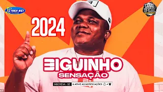 BIGUINHO SENSAÇÃO 2024 - REPERTÓRIO NOVO - ATUALIZADO - MÚSICAS NOVAS - BIGUINHO SENSAÇÃO