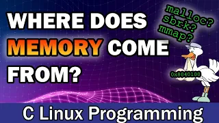 The Origins of Process Memory | Exploring the Use of Various Memory Allocators in Linux C