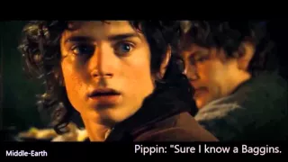 The Fellowship Of The Ring 'english subtitles' - Excuse me, that man in the corner, who is he