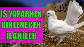 İŞ YAPARKEN DİNLENECEK İLAHİLER 5 🌺 BİR MÜBAREK CUMA GÜNÜ ALLAHIM 🌼 GİDİYORUM MEDİNEYE