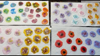 Creating Fused Glass Flower Elements