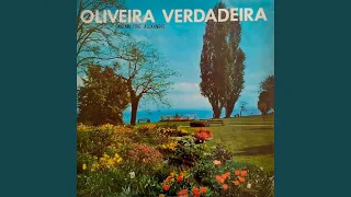 Oliveira Verdadeira