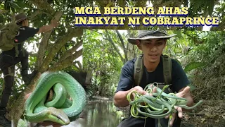 MGA BERDENG AHAS DI INASAHAN NI COBRAPRINCE .