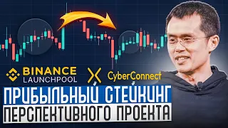 Как участвовать в лаунчпуле Cyber Connect? Binance Launchpool / Стейкинг криптовалют / Инвестиции