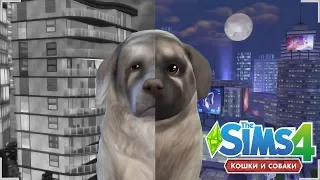 ★ THE SIMS 4 КОШКИ И СОБАКИ | ОТ РОЖДЕНИЯ ДО СТАРОСТИ | FROM BIRTH TO OLD AGE - DOG VERSION ★