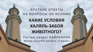 Какие условия халяль-забоя животного?