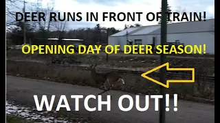 Watch This Young Buck Run Past & Around The Train.. That Was Crazy Wild!! | Jason Asselin