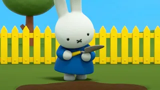 What is Miffy doing? | Miffy's Adventures Big & Small