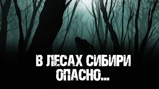 НЕ ХВАТАЕТ СЕРДЦА - В.Астафьев(1ч). Страшные истории про лес. Мистические рассказы