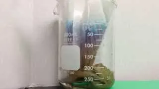 Liquid Chromatography black marker timelapse