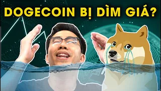 NEW UPDATES: Lý do Dogecoin vẫn chưa tăng giá $1 Dogecoin 30 cents có nên mua vào không? Pump & Dump