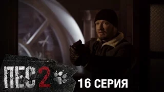 Сериал Пес - 2 сезон - 16 серия