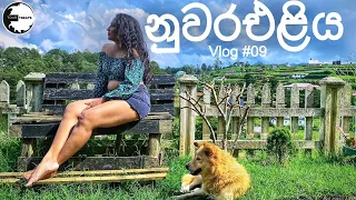 Best Two Waterfalls in Nuwaraeliya│එක දවසකින් දියඇලි දෙකක් ?│Lovers leap│Bomburuella│Hideout Cabines