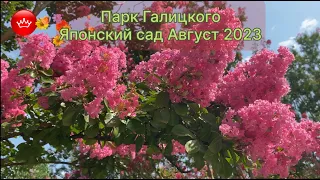 🌺😎Парк Галицкого Японский сад август не устает удивлять 2023.