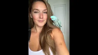 Kiwi The Parrot Gives High Five 🖐