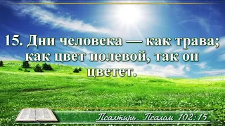 Видеобиблия Псалом 102 с музыкой Бондаренко