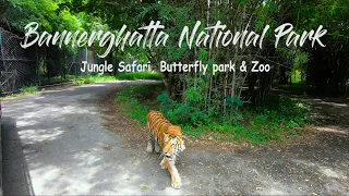 BANNERGHATTA NATIONAL PARK Jungle Safari & Zoo | Butterfly Park | Bangalore vlog | Must visit places